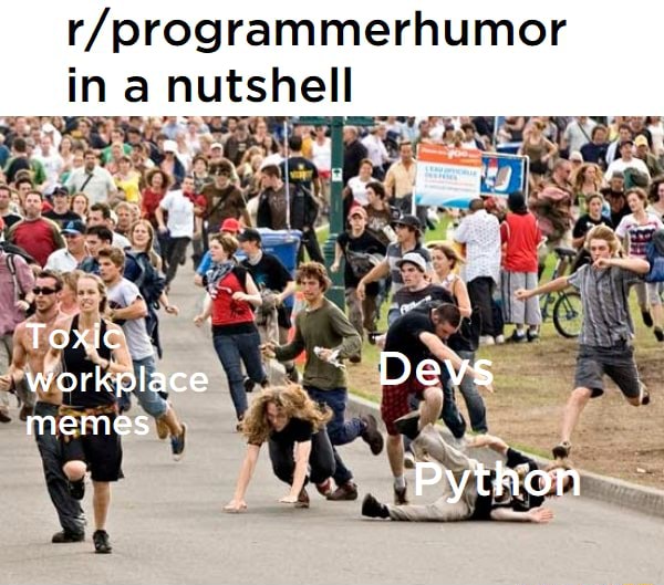 In a nutshell = = Toxic workplace Devs memes Python - iFunny