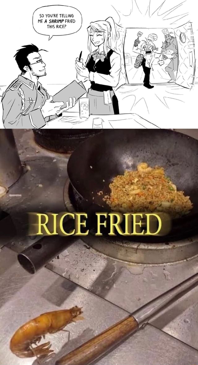 SO YOU'RE TELLING ME A SHRIMP FRIED THIS RICE? RICE FRIED iFunny