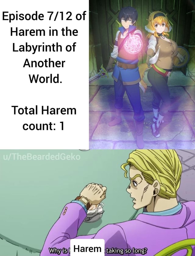 Harem in the Labyrinth of Another World Cast Meme by AnimeFan1689