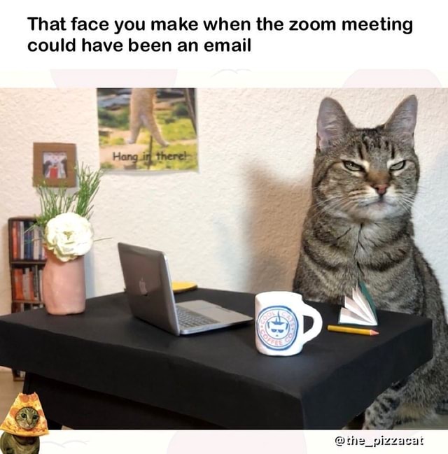 That Face You Make When The Zoom Meeting Could Have Been An Email Whlsm