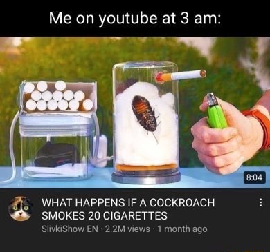 Me on youtube at 3 am: WHAT HAPPENS IF A COCKROACH SMOKES 20 CIGARETTES  SlivkiShow EN 2.2M views 1 month ago