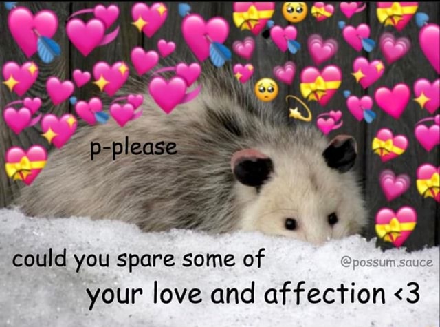 Could you spare some of @possum.sauce your love and affection