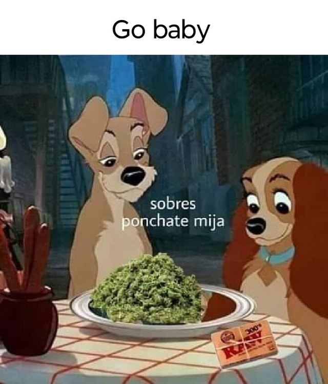 Go Sobres Mija Ifunny Brazil 4283