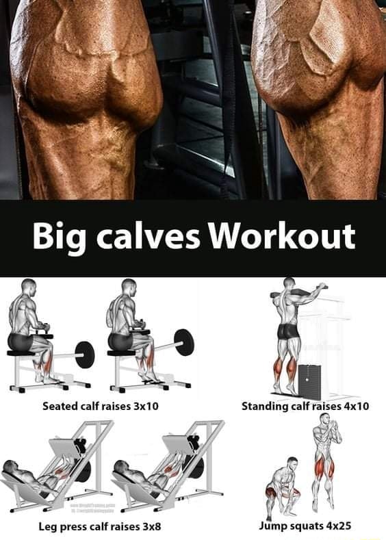 Big calves Workout Seated calf raises 3x10 Standing calf Yalses 4x10 GA ...