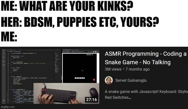 asmr-programming-coding-a-snake-game-no-talking-me-what-are-your-kinks-her-bdsm-puppies