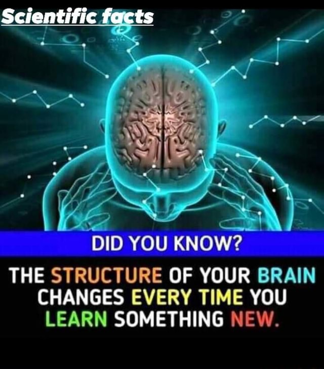 Scientific fact 'DID YOU KNOW? THE STRUCTURE OF YOUR BRAIN CHANGES ...
