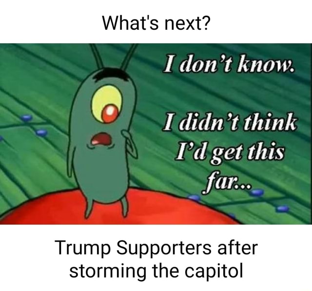 What S Next I Don T Know Didn T Think I D Get This Far Trump Supporters After Storming The Capitol