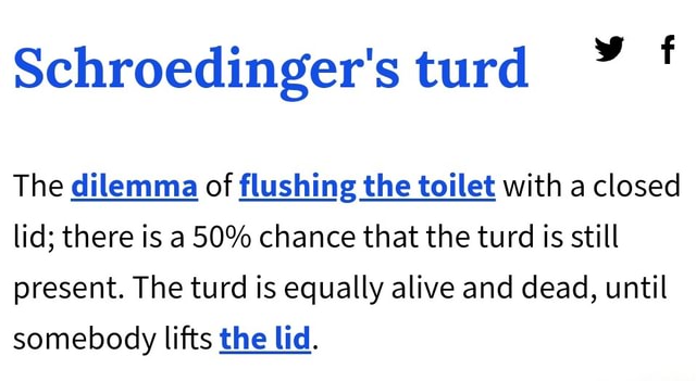 Schroedinger's turd The dilemma of flushing the toilet with a closed ...