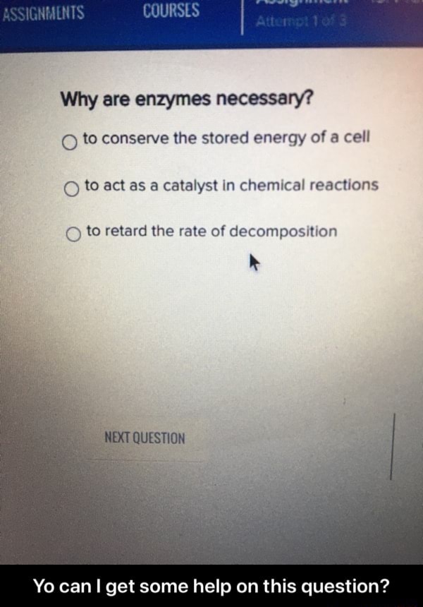 Why are enzymes necessary? to conserve the stored energy of a cell OO