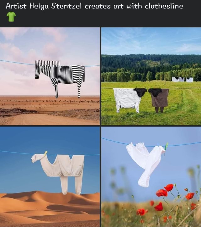 Artist Helga Stentzel creates art with clothesline yer iFunny