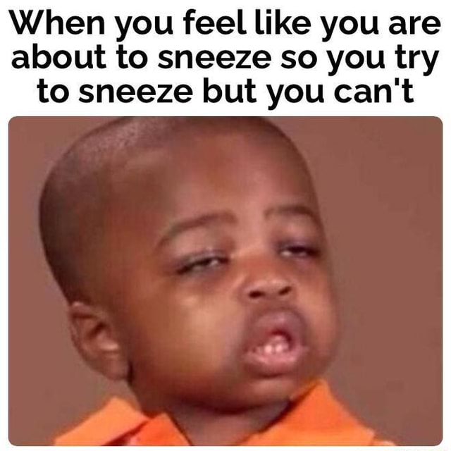 When you feel like you are about to sneeze so you try to sneeze but you