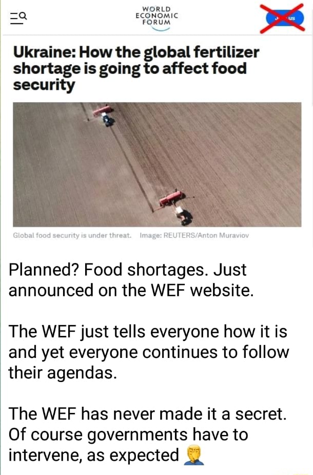 WORLD ECONOMIC FORUM Ukraine How the global fertilizer shortage is