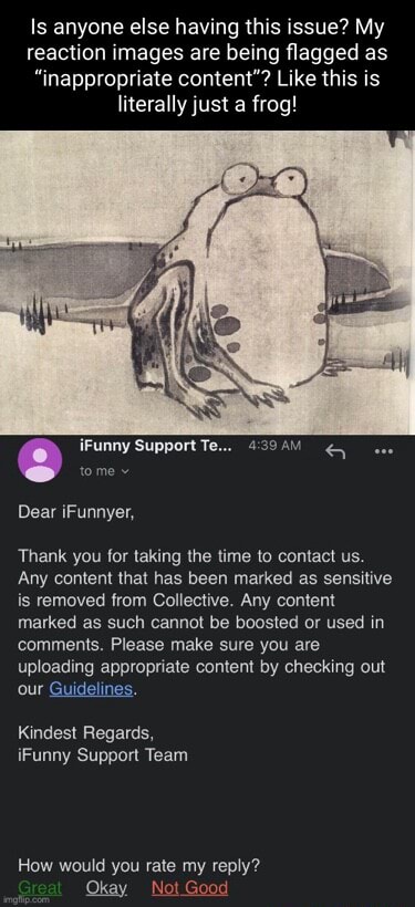 Is anyone else having this issue? My reaction images are being flagged ...