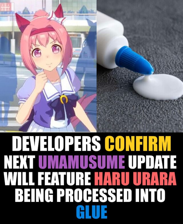 DEVELOPERS CONFIRM NEXT UMAMUSUME UPDATE WILL FEATURE HARU URARA BEING ...