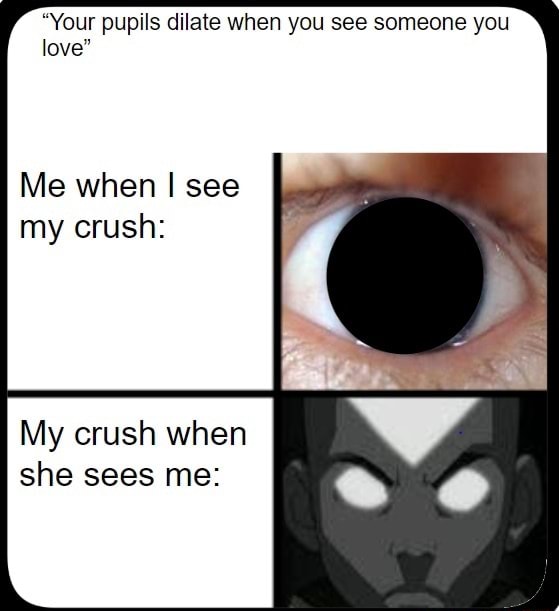 "Your pupils dilate when you see someone you love" Me when I see my