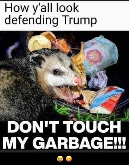 How Y All Look Defending Trump Don T Touch My Garbage
