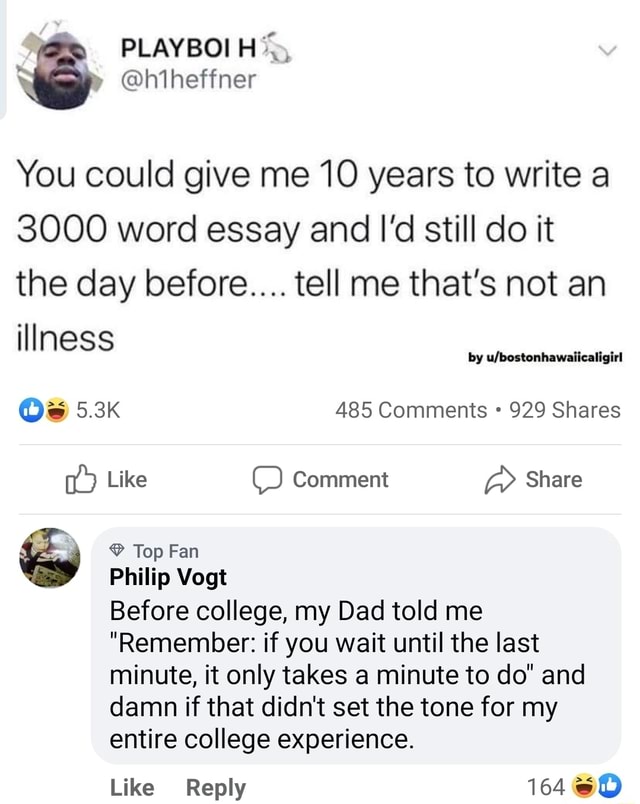 3000 word essay in a week image