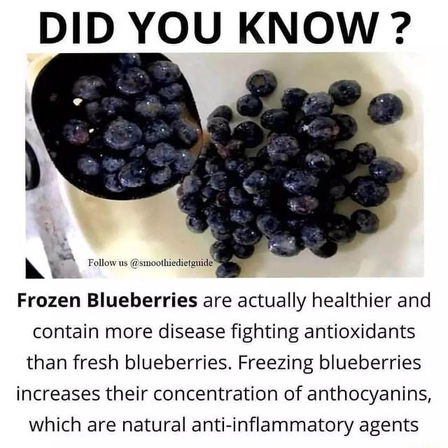 DID YOU KNOW ? Follow us smoothiedietguide Frozen Blueberries are