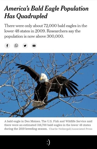 Americas Bald Eagle Population Has Quadrupled There Were Only Y About 72000 Bald Ea 2009 1949