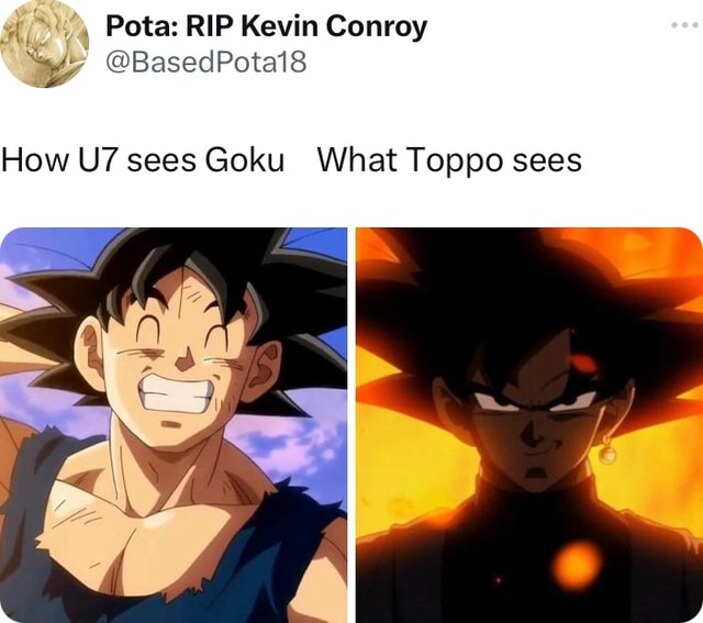 , Pota: RIP Kevin Conroy @BasedPota18 How sees Goku What Toppo sees ...