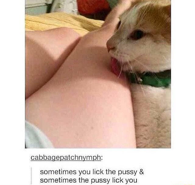 Cat licking pussy Porn Tube