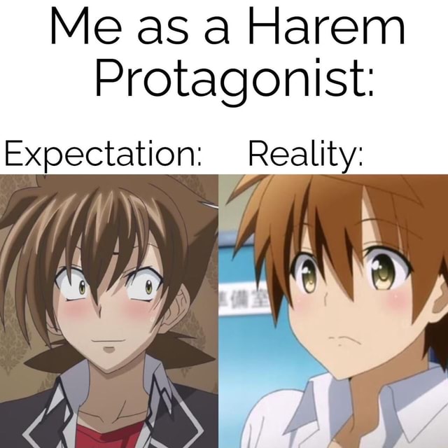 Me as a Harem Protagonist: Expectation: Reality: - iFunny