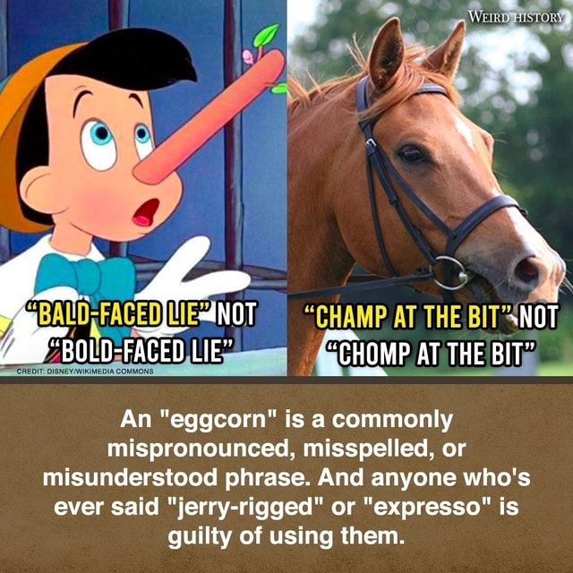 WEIRD JUSTORY "NOT "CHAMP AT THE NOT CREDIT "BOLDFACED DISNEY