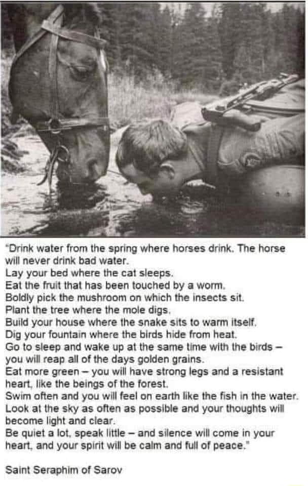 Drink water from the spring where horses drink. The horse will never drink bad water. Lay your bed where the cat sleeps. Eat the fruit that has been touched by a worm Drink water from the spring where horses drink. The horse will never drink bad water. Lay your bed where the cat sleeps. Eat the fruit that has been touched by a worm