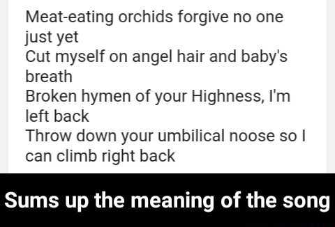 Meat Eating Orchids Forgive No One Just Yet Cut Myself On Angel Hair And Baby S Breath Broken Hymen Of Your Highness I M Left Back Throw Down Your Umbilical Noose So I Can Climb