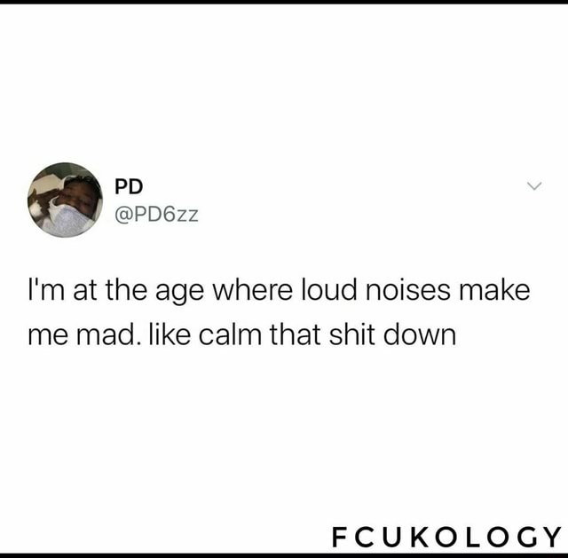 pd-i-m-at-the-age-where-loud-noises-make-me-mad-like-calm-that-shit