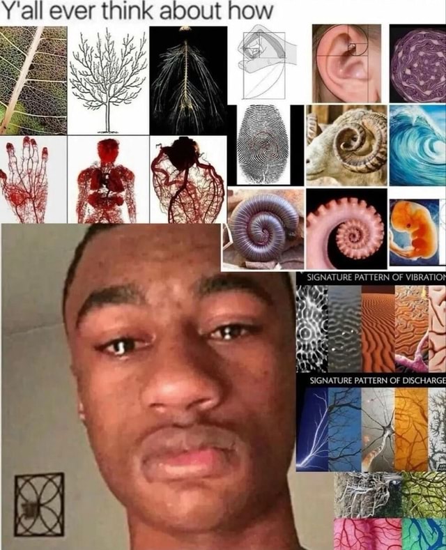 Ever SIGNATURE PATTERN OF DISCHARGE iFunny