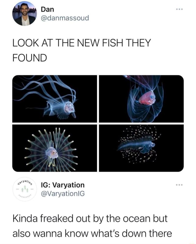 LOOK AT THE NEW FISH THEY FOUND Ss IG: Varyation Kinda freaked out by ...