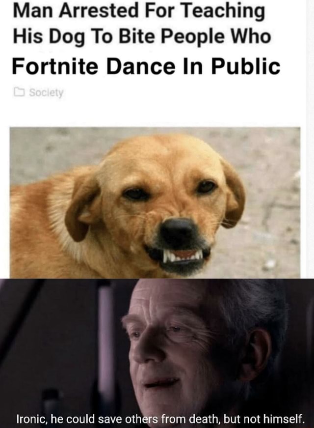 Man Arrested For Teaching His Dog To Bite Fortnite Article Man Arrested For Teaching His Dog To Bite People Who Fortnite Dance In Public