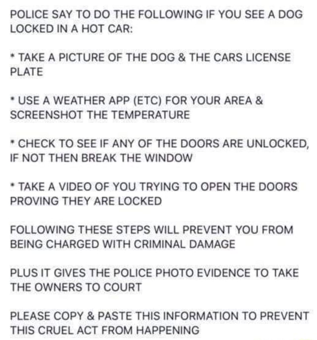 POLICE SAY TO DO THE FOLLOWING IF YOU SEE A DOG LOCKED IN A HOT CAR ...