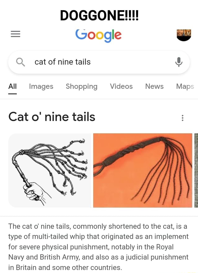 DOGGONE!!! Google we Q. cat of nine tails All Images Shopping Videos