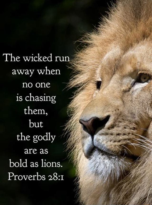 The wicked run. away when no one is chasing them, but the godly area ...