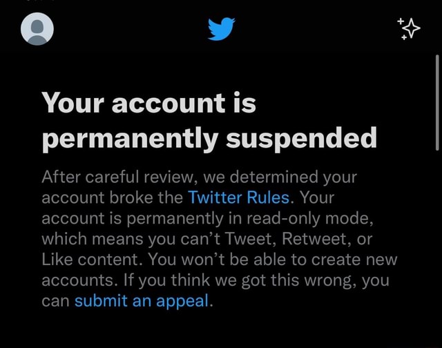 aa-y-your-account-is-permanently-suspended-after-careful-review-we