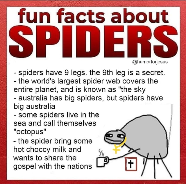 Fun facts about SPIDERS humorforjesus spiders have 9 legs. the Sth