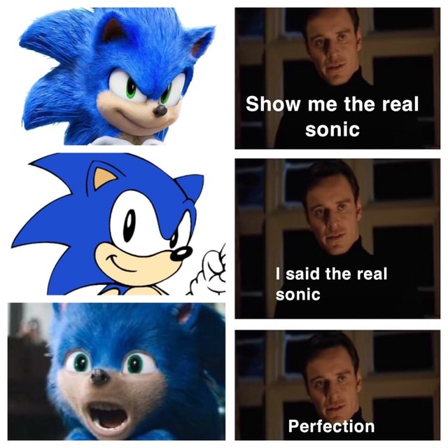 Show me the real sonic I said the real sonic Perfection - iFunny