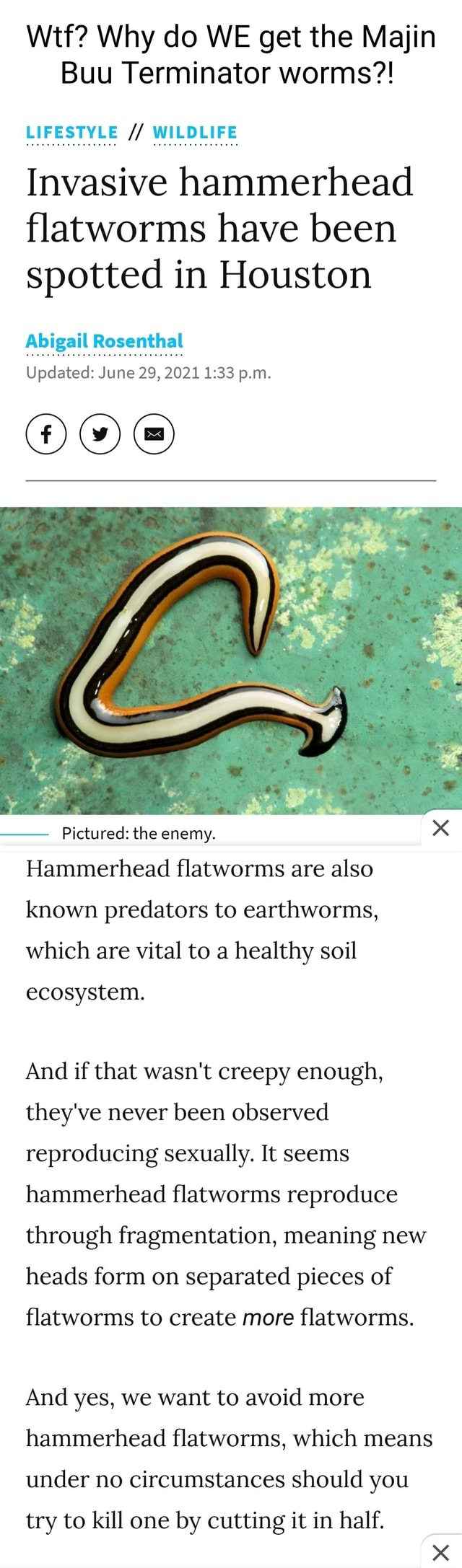 Wtf? Why do WE get the Majin Buu Terminator worms?! LIFESTYLE WILDLIFE