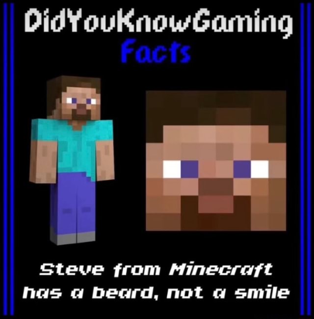 minecraft steve beard