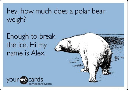 Hey How Much Does A Polar Bear Weigh Enough To Break The Ice Hi My Name Is Alex