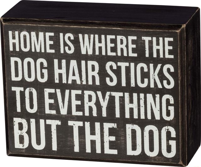 'HOME IS WHERE THE DOG HAIR STICKS TO EVERYTHING BUT THE DOG , iFunny