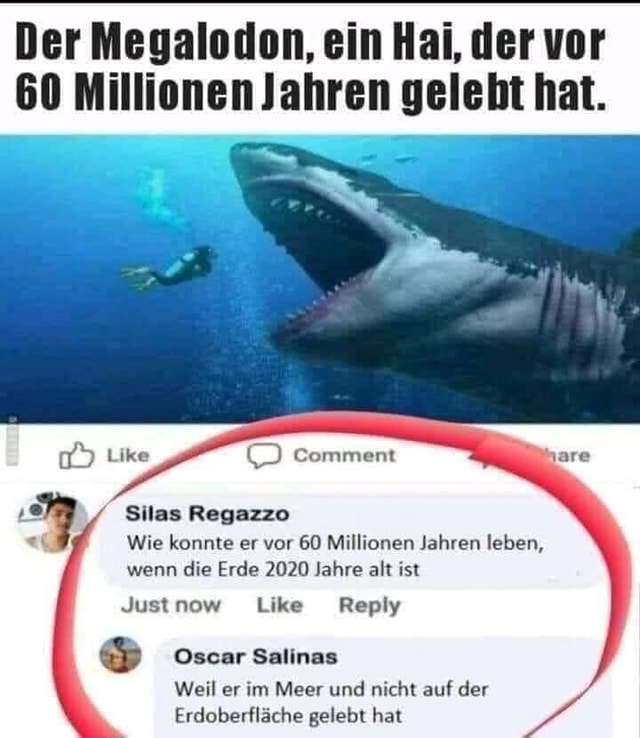 Der Megalodon, ein Hai, der vor 60 Millionen Jahren gelebt hat. Comment