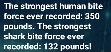 strongest human bite force psi