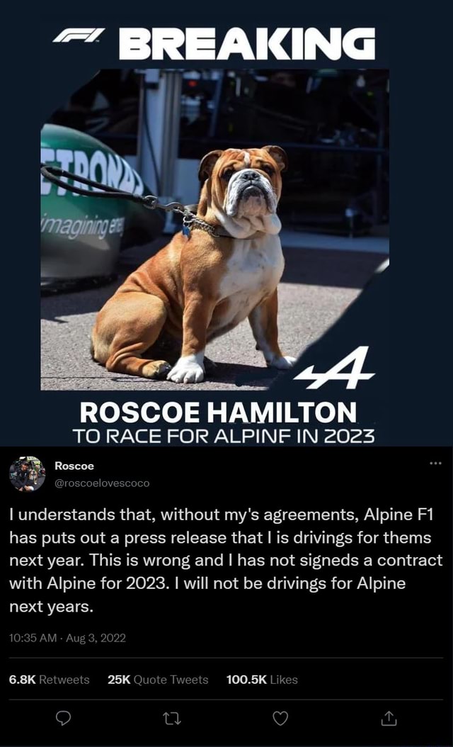 BREAKING ROSCOE HAMILTON TO RACE FOR ALPINE IN 2023 Roscoe understands