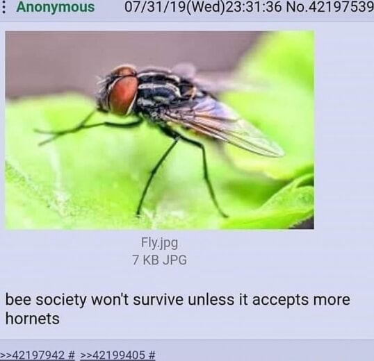 Anonymous Fly jpg 7 KB JPG bee society won't survive unless it accepts ...