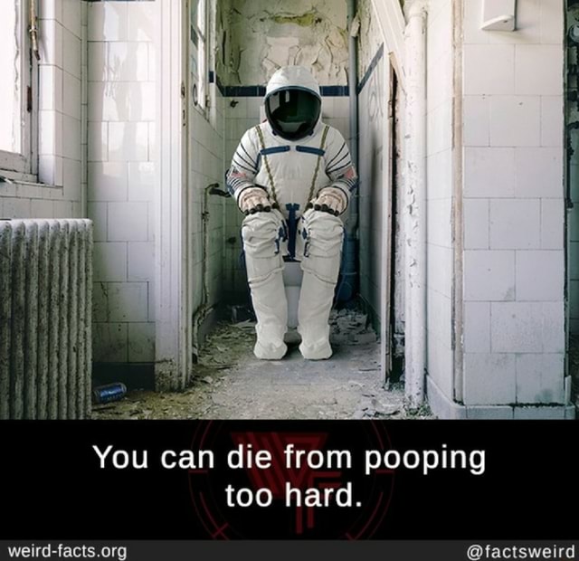 you-can-die-from-pooping-too-hard-factsweird-ifunny