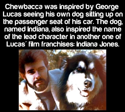 Chewbacca was hspired by George Lucas seeing his own dog sitting up on the  passenger seat or his car. The dog, named hdiana, also inspired the name or  the lead character in