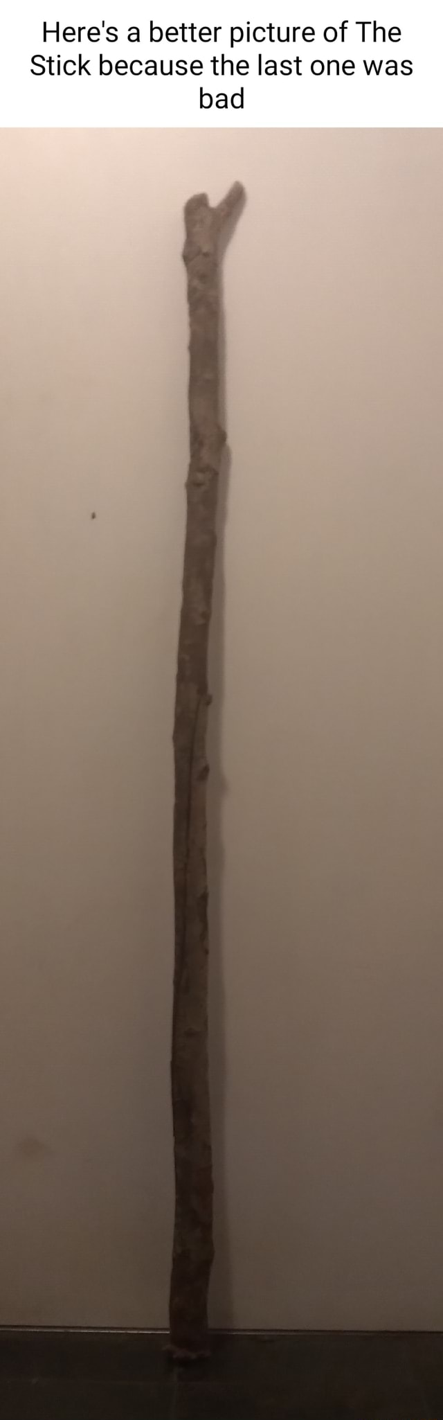Here's a better picture of The Stick because the last one was bad - iFunny